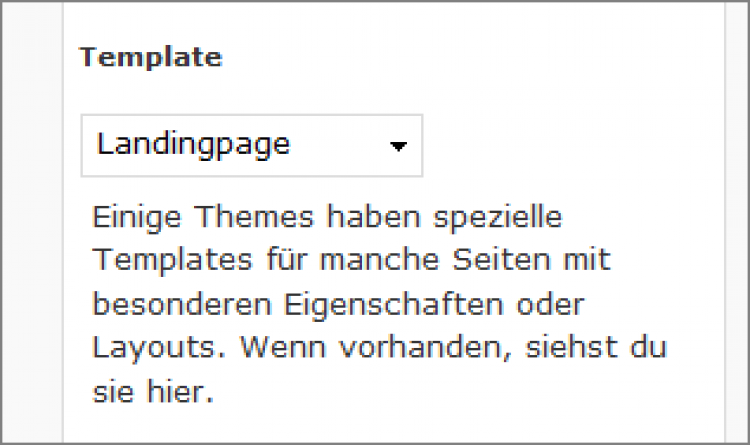 61876_page-template-auswahl.png
